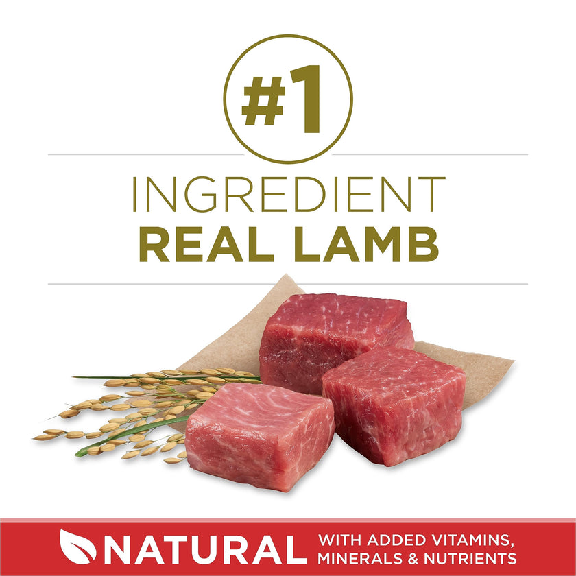 Purina ONE Dry Dog Food, Microbiome Balance with Lamb & Rice 3.63kg 🍁 All In One Marketplace Canada