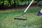 Scotts Turf Builder Grass Seed All Purpose Mix, 1Kg (246 sq Meters / (2,648 sq feet Coverage) | Sun & Shade Formula for a Thick, Green Lawn 🍁 All In One Marketplace Canada