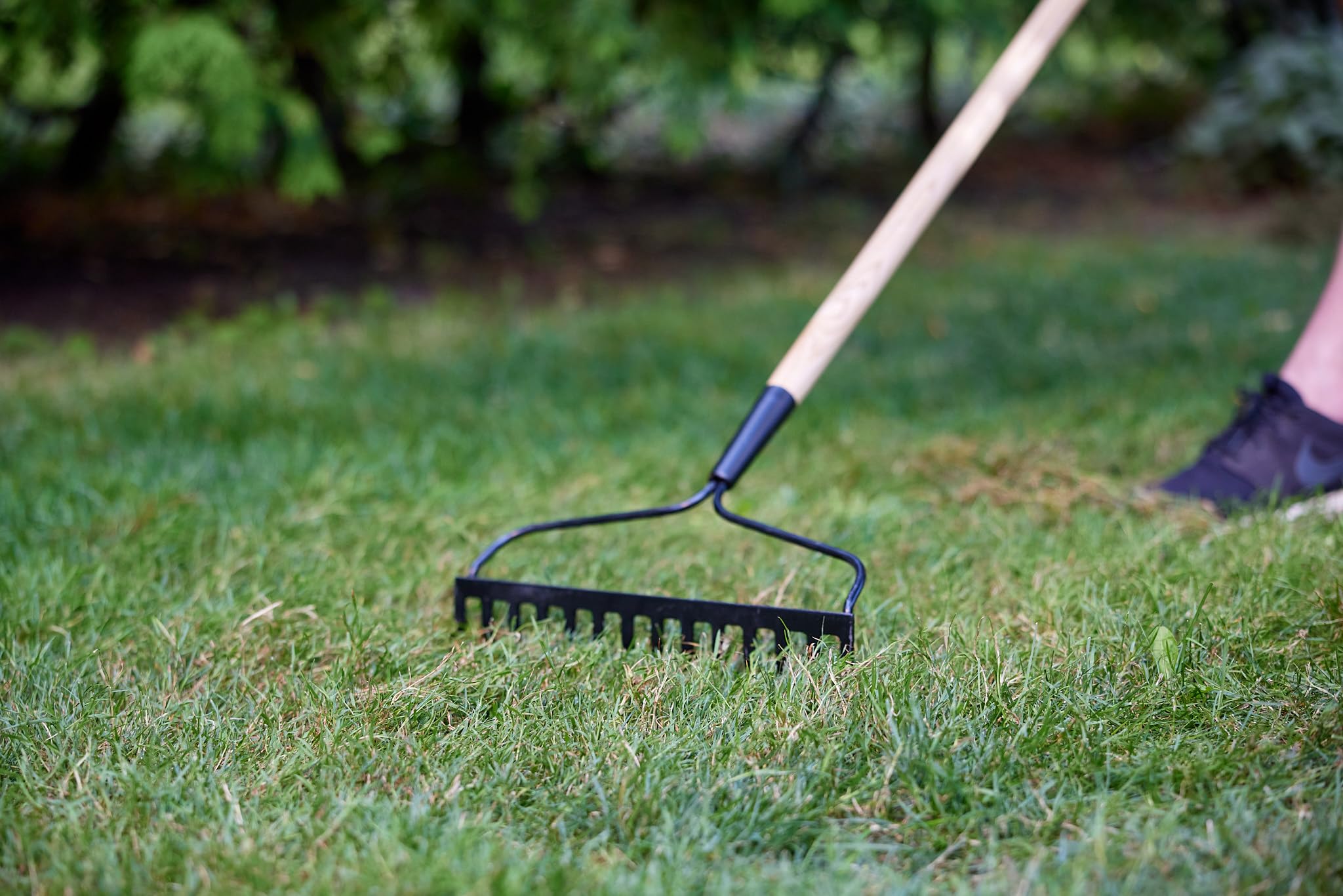 Scotts Turf Builder Grass Seed All Purpose Mix, 5kg (1,230 sq Meters / 13,239 sq feet Coverage) | Sun & Shade Formula to overseed or to Grow a new Thick, Lawn 🍁 All In One Marketplace Canada