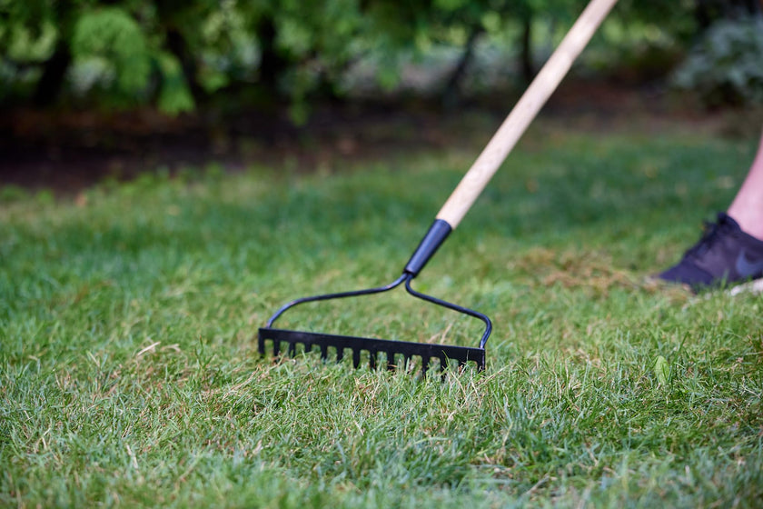 Scotts Turf Builder Grass Seed Sunny Areas Mix, 1kg (246 sq Meters / 2,648 sq feet Coverage) | Formula for overseeding or Growing a new, Thick Lawn in Sunny Areas 🍁 All In One Marketplace Canada