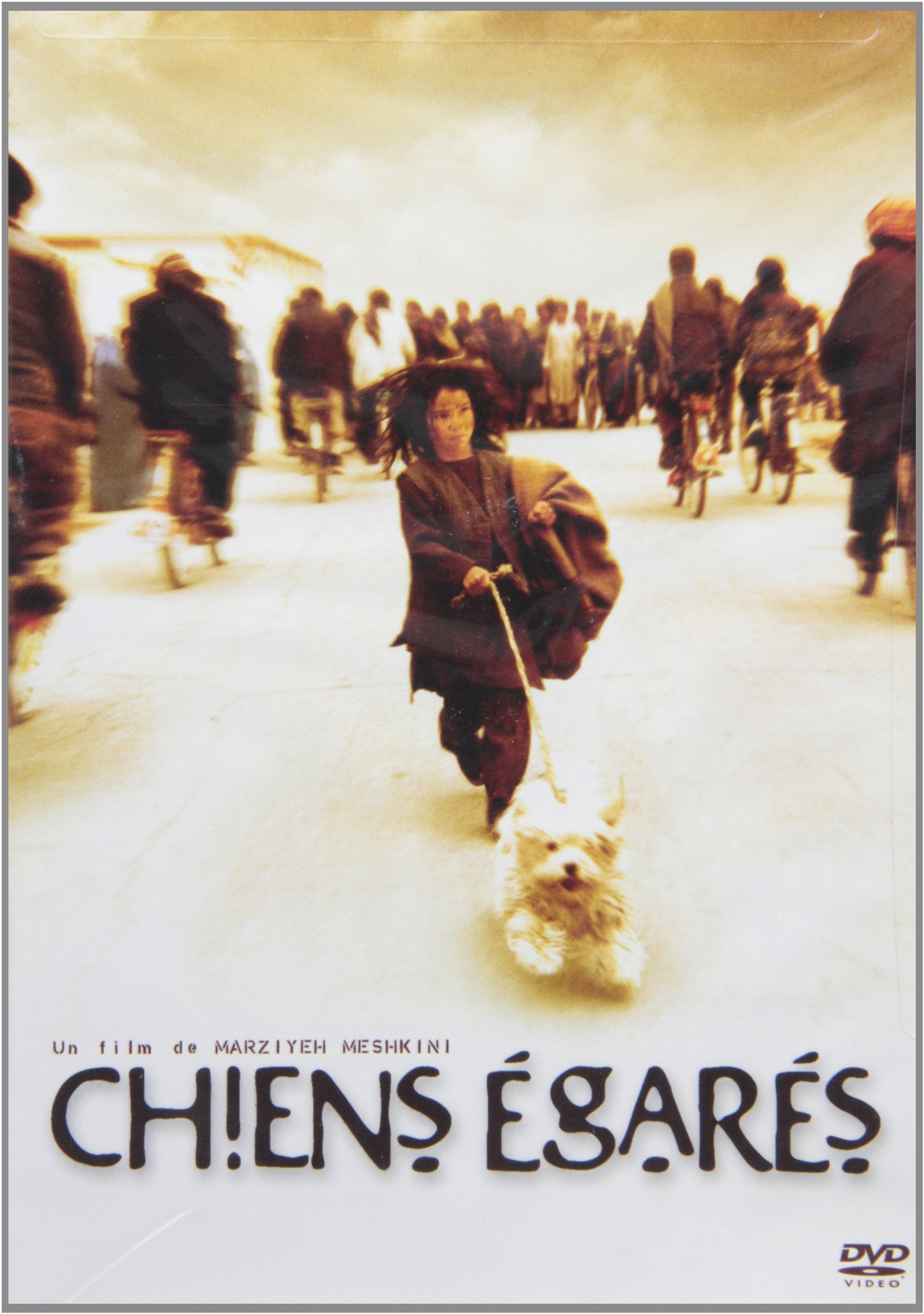 Chiens Égarés (Version française)