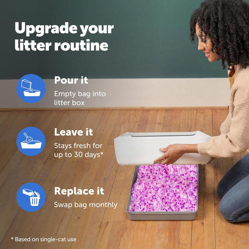 PetSafe ScoopFree Premium Lavender Crystal Cat Litter, 3-Pack – Lightly Scented Litter – Superior Odor Control – Low Tracking for Less Mess – Lasts Up to 6 Months, 24 lb Total (3 Pack of 8 lb Bags) 🍁 All In One Marketplace Canada