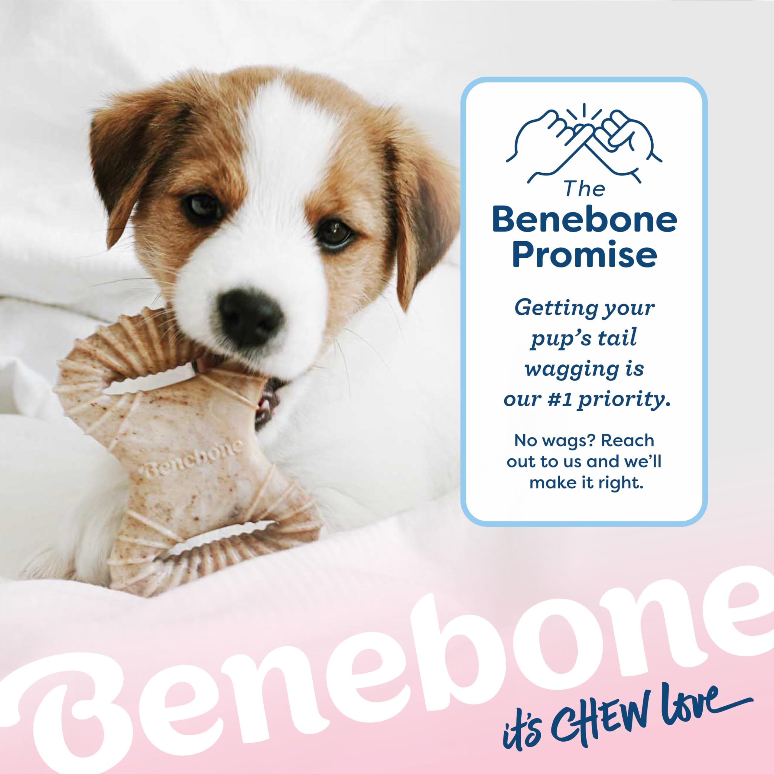 Benebone Puppy 2-Pack Dental Chew/Wishbone Dog Chew Toys, Real Bacon 🍁 All In One Marketplace Canada