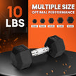 Yes4All Cast Iron - Chrome Grip Hex Dumbbell - 10 lbs - Single 🍁 All In One Marketplace Canada