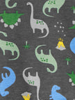 Simple Joys by Carter's Boys' 2-Pack Cotton Footed Sleep and Play, Dinosaur Print, 3-6 Months 🍁 All In One Marketplace Canada