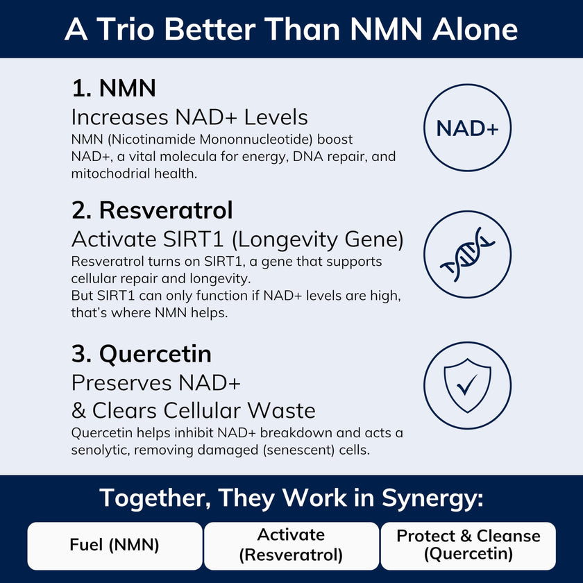 NMN w/Quercetin & Resveratrol For Enhanced NAD+ Levels - More Effective Than NMN Alone, High Purity 99% Nicotinamide Mononucleotide & Resveratrol For Cellular Health, NAD Supplement, 60 Capsules 🍁 All In One Marketplace Canada