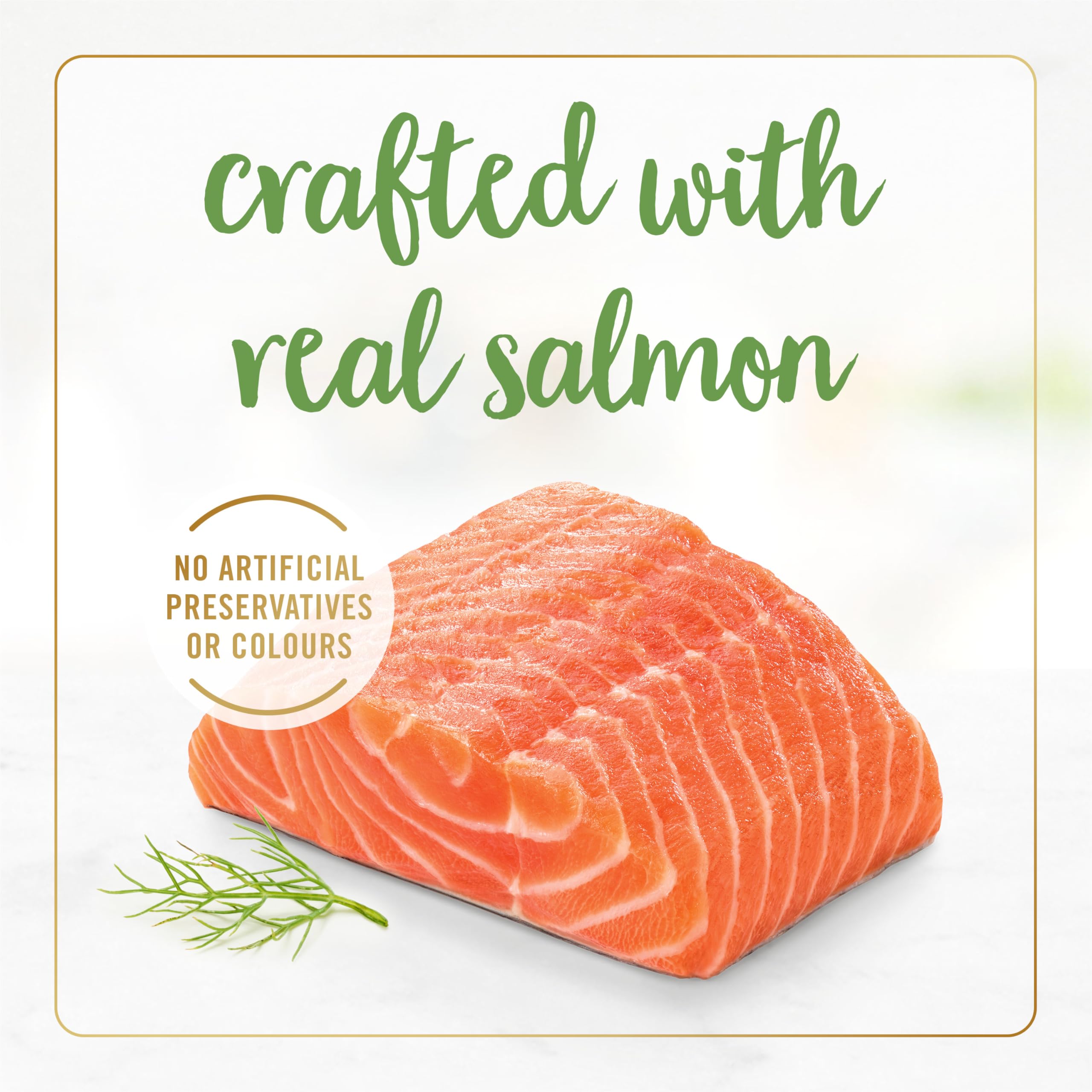 Fancy Feast Gravy Lovers Wet Cat Food, Salmon Feast in Gravy 85g (24 Pack) 🍁 All In One Marketplace Canada