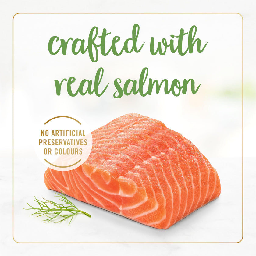Fancy Feast Gravy Lovers Wet Cat Food, Salmon Feast in Gravy 85g (24 Pack) 🍁 All In One Marketplace Canada