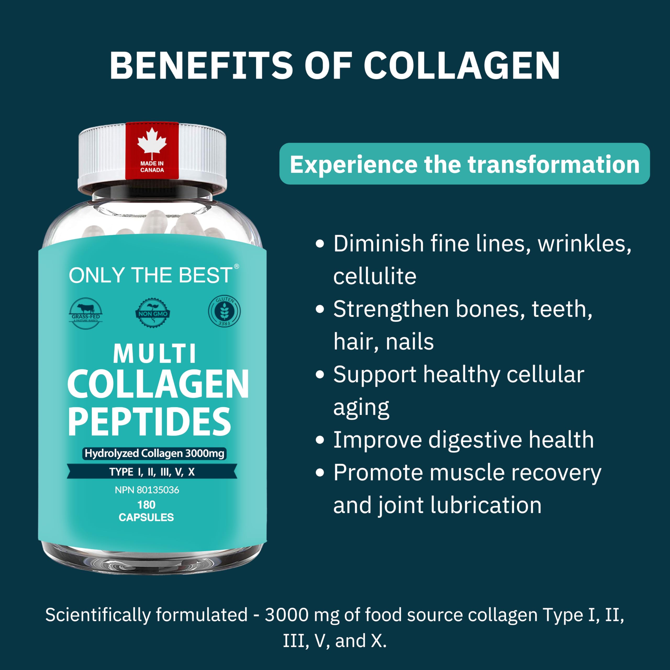 Premium Multi Collagen Peptides Capsules 3000mg - Types I, II, III, V, X To Support Skin, Hair, Nails & Bones - Helps Maintain Strong Joints, Ligaments, Muscles, & Digestive Health* - Hydrolyzed Collagen Supplement 180 Capsules