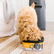 Pet Genie Jumbo Refill Bags - Multi-Layer Continuous film for Waste and Odor - Up to 4 Months of Supply, Only Compatible with Pet Genie Pail 🍁 All In One Marketplace Canada
