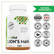 PlantVital Lions Mane - Made in Canada - Max Potency 11,000mg (10:1 Extract) - Organic Lion’s Mane Mushroom Supplements with 40% Polysaccharides - Supports Immune Health and Antioxidants -120 Capsules 🍁 All In One Marketplace Canada