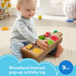 Fisher-Price Baby Toy Hide & Peek Pop-Up Animal-Themed Sensory Activity with Wood Accents & Sounds for Ages 9+ Months 🍁 All In One Marketplace Canada