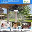 Depuley Outdoor Ceiling Fan with Light: 20 Inch Waterproof Gazebo Fans with Lights Outdoor Hanging - Plug in Remote App Control Caged Fans for Patios Pergola Porch Canopy - 6 Speed Black 🍁 All In One Marketplace Canada
