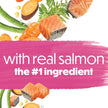 Beneful Originals Dry Dog Food, Real Salmon - 12.7 kg Bag 🍁 All In One Marketplace Canada