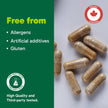 Organika Canadian-Made Absolute Iron - Iron Bisglycinate- High Availability, Gentle on Stomach, Boost Iron Levels- Beneficial for Women and Vegetarians- 120vcaps 🍁 All In One Marketplace Canada