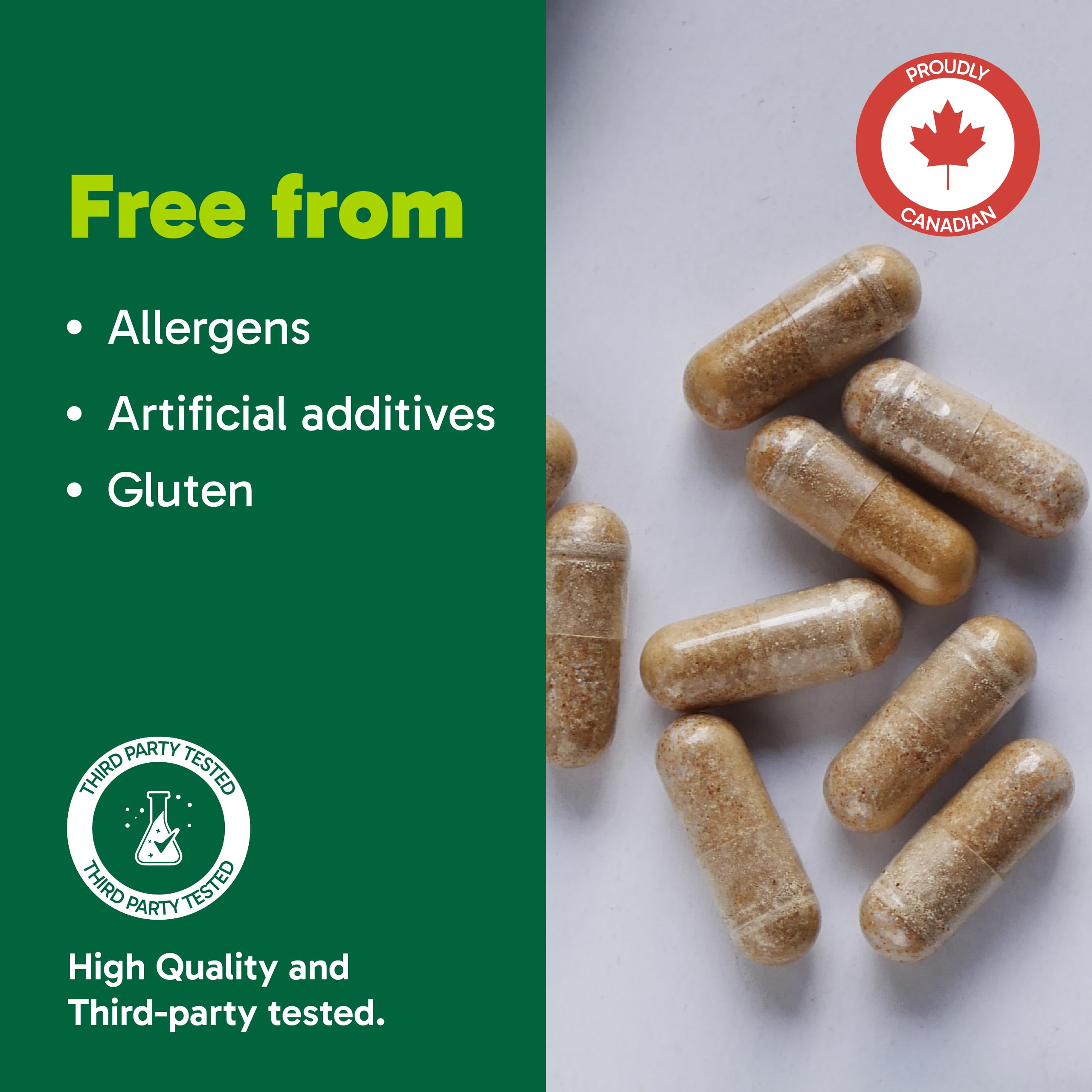 Organika Canadian-Made Absolute Iron - Iron Bisglycinate- High Availability, Gentle on Stomach, Boost Iron Levels- Beneficial for Women and Vegetarians- 120vcaps 🍁 All In One Marketplace Canada
