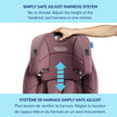 Graco Tranzitions 3-in-1 Harness Booster Seat, Toddler to Big Kid Car Seat from 10-45 kg (22-100lb), Harness/Highback/Backless Booster, Eloise 🍁 All In One Marketplace Canada