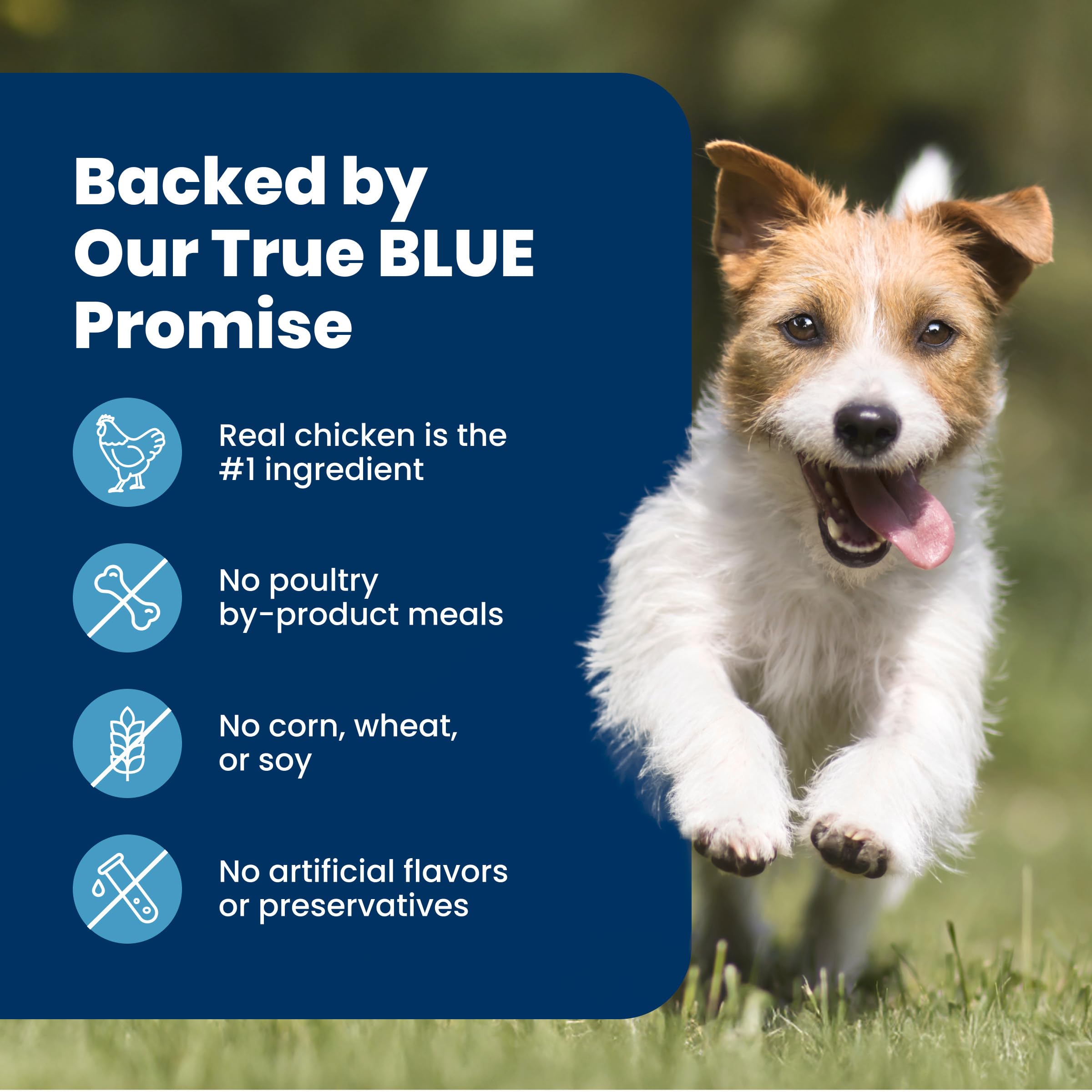 Blue Buffalo Life Protection Formula Chicken & Brown Rice Small Breed Adult Dry Dog Food, Supports Immunity with Antioxidant-Rich LifeSource Bits, Promotes Healthy Muscles, 6.8kg/15 lbs 🍁 All In One Marketplace Canada