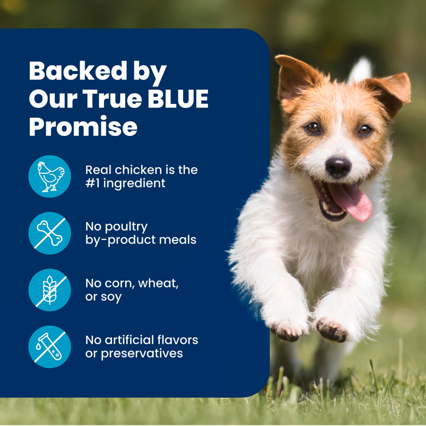 Blue Buffalo Life Protection Formula Chicken & Brown Rice Small Breed Adult Dry Dog Food, Supports Immunity with Antioxidant-Rich LifeSource Bits, Promotes Healthy Muscles, 6.8kg/15 lbs 🍁 All In One Marketplace Canada