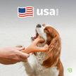 Benebone Wishbone Durable Dog Chew Toy for Aggressive Chewers, Real Bacon, Made in USA, Medium 🍁 All In One Marketplace Canada