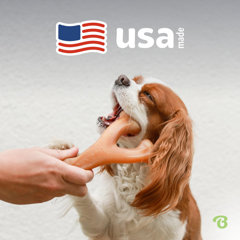 Benebone Wishbone Durable Dog Chew Toy for Aggressive Chewers, Real Bacon, Made in USA, Medium 🍁 All In One Marketplace Canada