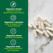 Organika Canadian-Made 8-In-1 Magnesium - 212mg Synergystic Magnesium Complex with Vitamin B6 to Support Muscle Function, Bone Health, Energy, and Cardiovascular Health | 90vcaps, 45 Servings 🍁 All In One Marketplace Canada