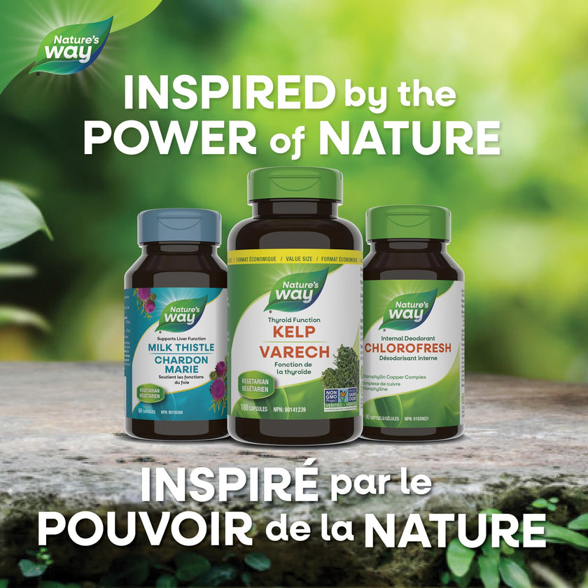 Nature’s Way Kelp - Iodine Supplement for Thyroid Support from Kelp - Non-GMO - 180 Vegetarian Capsules, Value Size 🍁 All In One Marketplace Canada