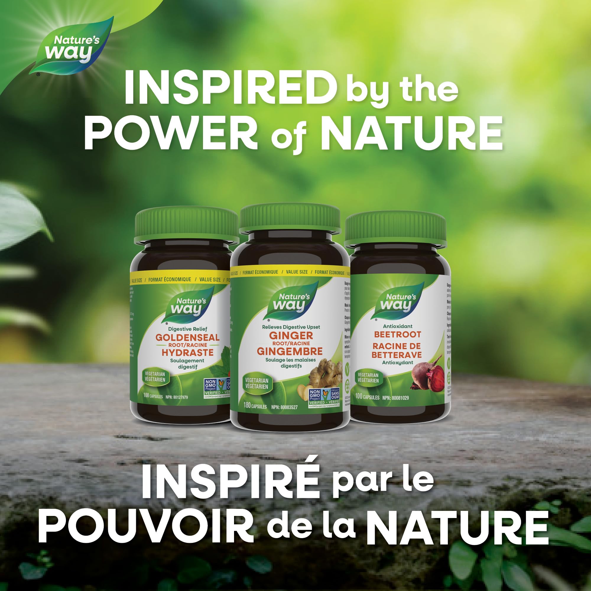 Nature's Way Ginger Root – Traditional Digestive Support Supplement - Used in Herbal Medicine to Help Relieve Digestive Upset – Non-GMO - 180 Vegetarian Capsules, Value Size 🍁 All In One Marketplace Canada