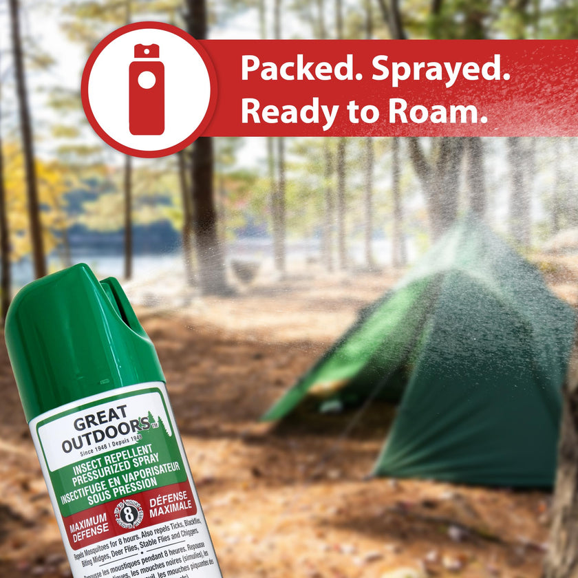Great Outdoors Insect Repellent 30% DEET Aerosol Spray, 175g 🍁 All In One Marketplace Canada