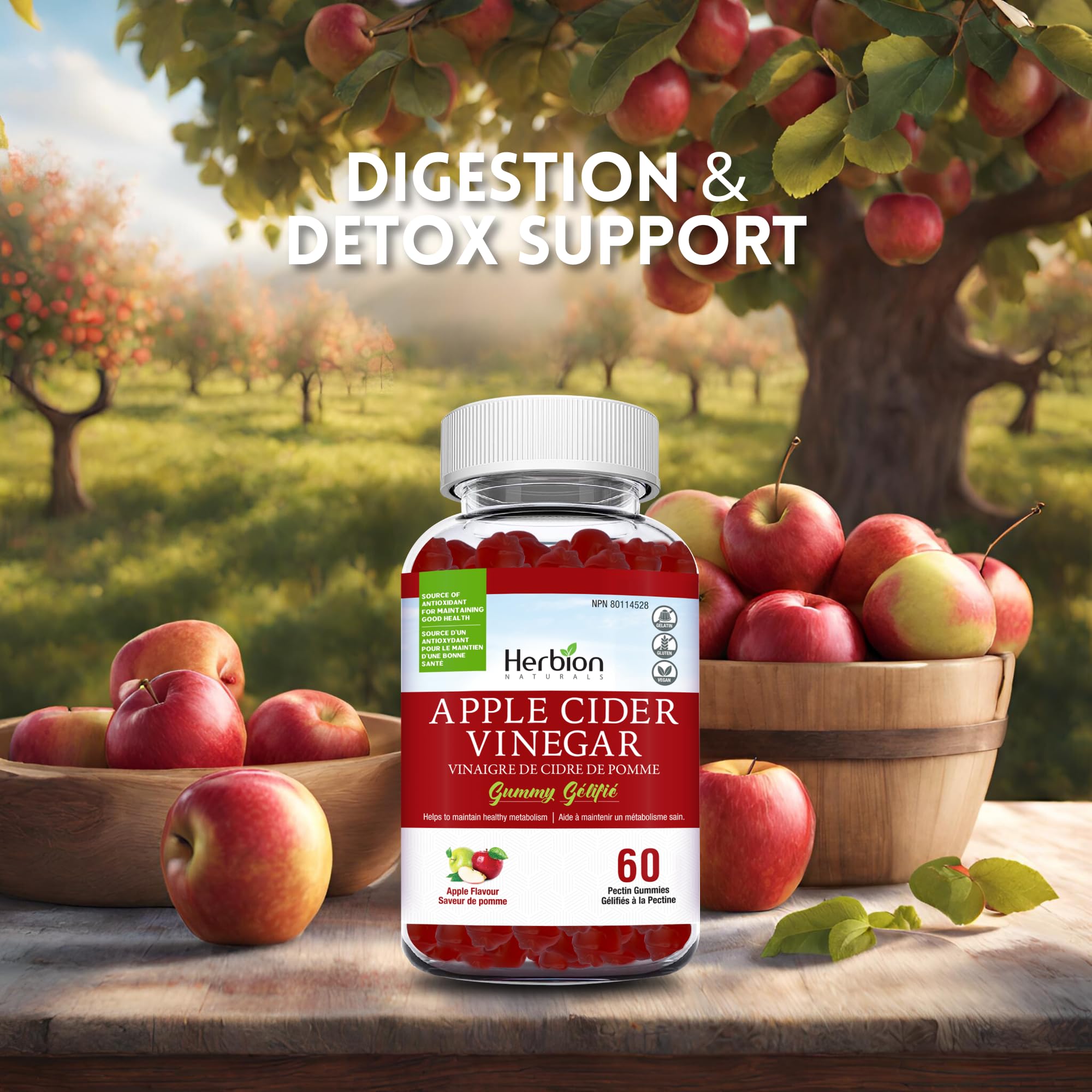 Herbion Naturals Apple Cider Vinegar Gummy with Folic Acid, Pomegranate, Beetroot & vitamin B12, source of Antioxidants to maintain Good Health & Metabolism, 60 Pectin Gummies for Adults, Apple Flavour 🍁 All In One Marketplace Canada