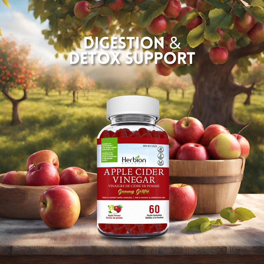 Herbion Naturals Apple Cider Vinegar Gummy with Folic Acid, Pomegranate, Beetroot & vitamin B12, source of Antioxidants to maintain Good Health & Metabolism, 60 Pectin Gummies for Adults, Apple Flavour 🍁 All In One Marketplace Canada