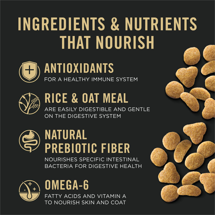 Purina Pro Plan Probiotics, Sensitive Skin & Stomach, Natural Dry Cat Food, Focus Turkey & Oat Meal - 5.5 lb. Bag 🍁 All In One Marketplace Canada
