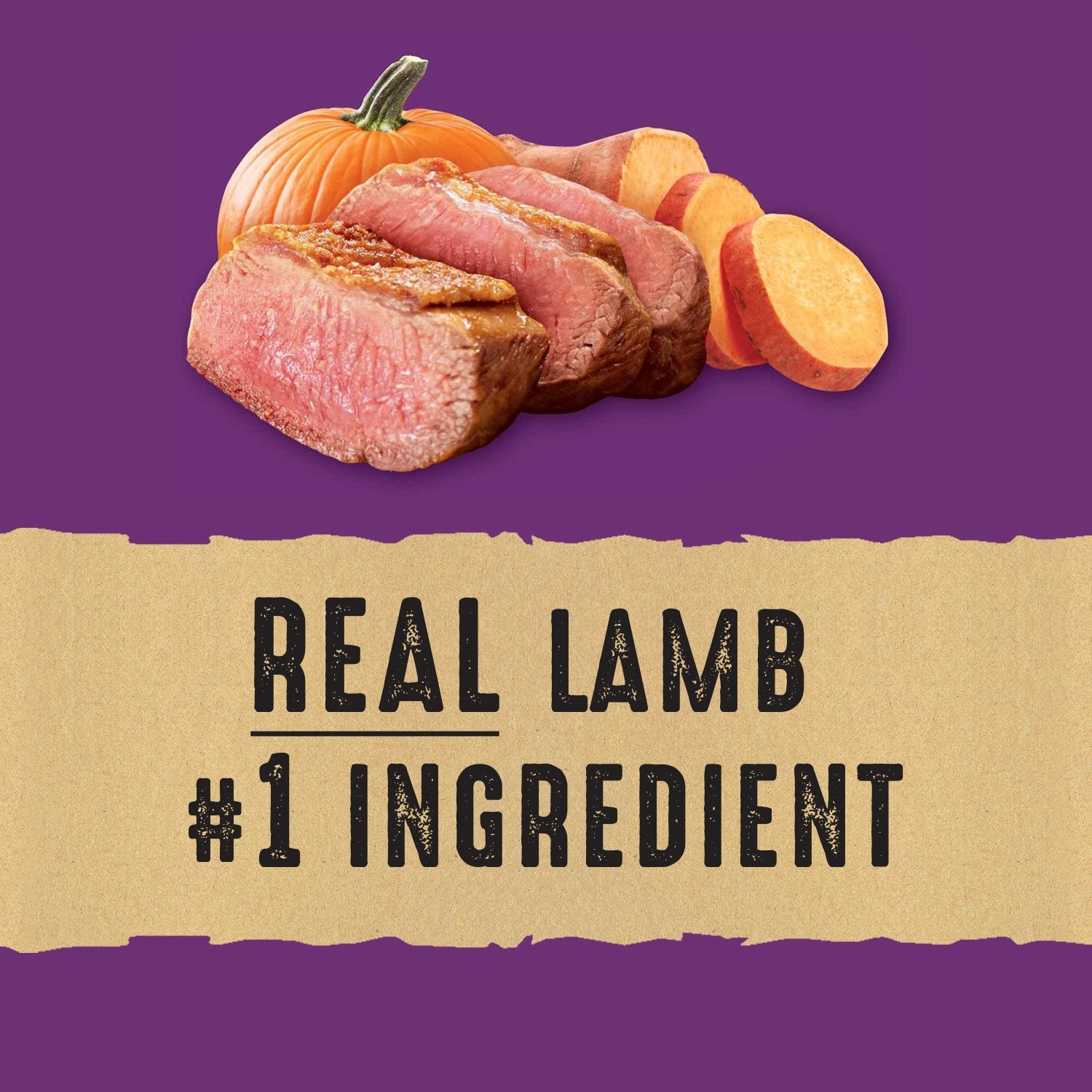 Nature's Recipe Adult Grain Free Natural Dry Dog Food Lamb, Sweet Potato & Pumpkin Recipe 10.8 kg (Pack of 1) 🍁 All In One Marketplace Canada