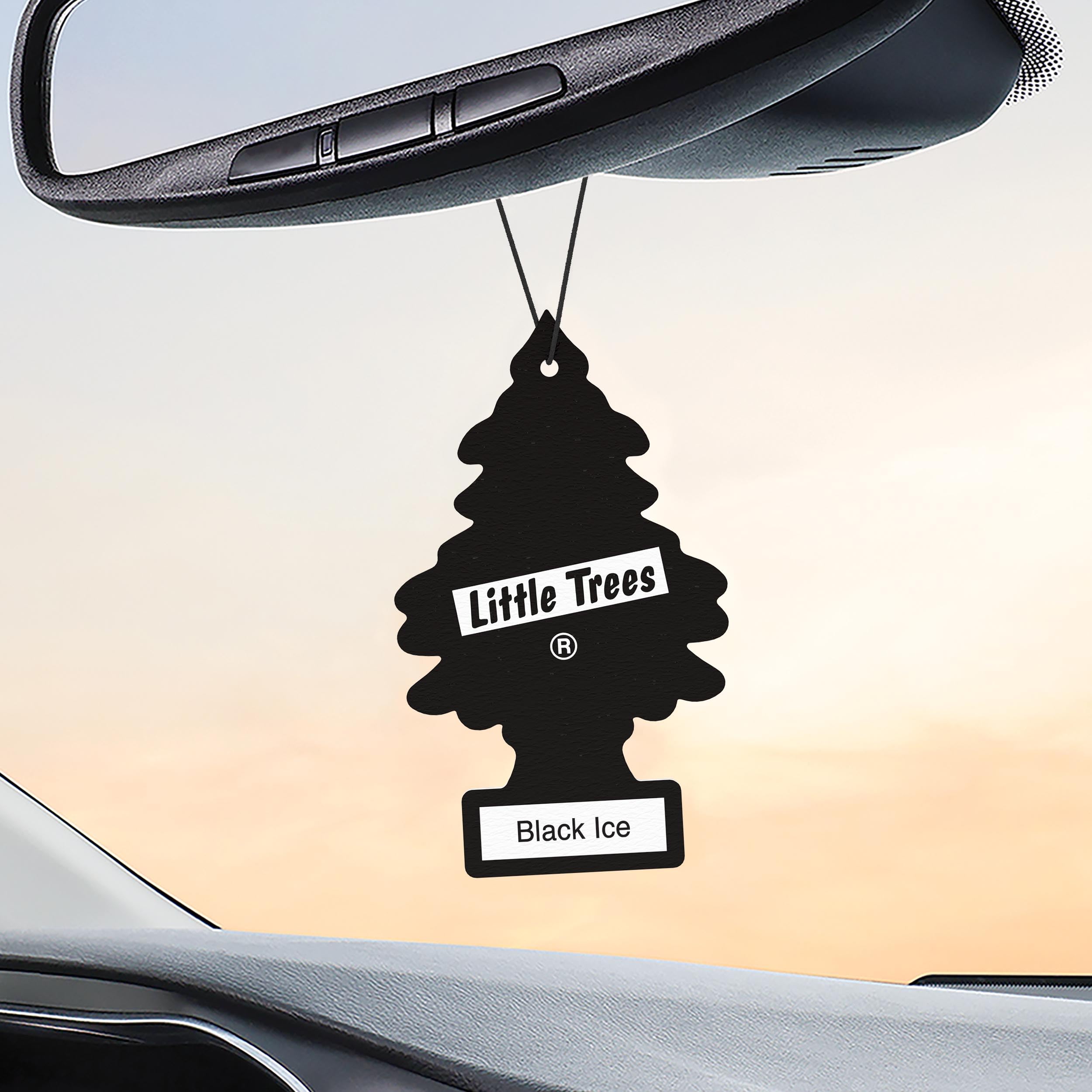 LITTLE Air Fresheners Car Air Freshener. Hanging Tree Provides Long Lasting Scent for Auto or Home. Black Ice, 24 Air Fresheners 🍁 All In One Marketplace Canada