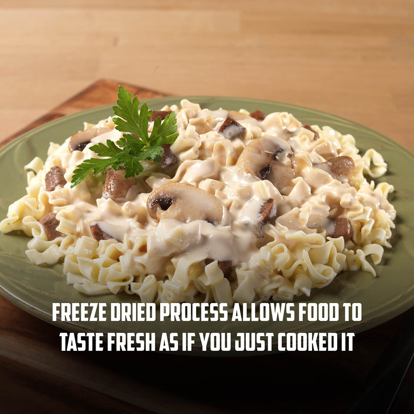 Mountain House Beef Stroganoff, Freeze Dried Emergency Food, Single Pouch 🍁 All In One Marketplace Canada
