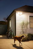 Google Nest Cam with Floodlight - Outdoor, Wired - Snow - 1-Pack 🍁 All In One Marketplace Canada