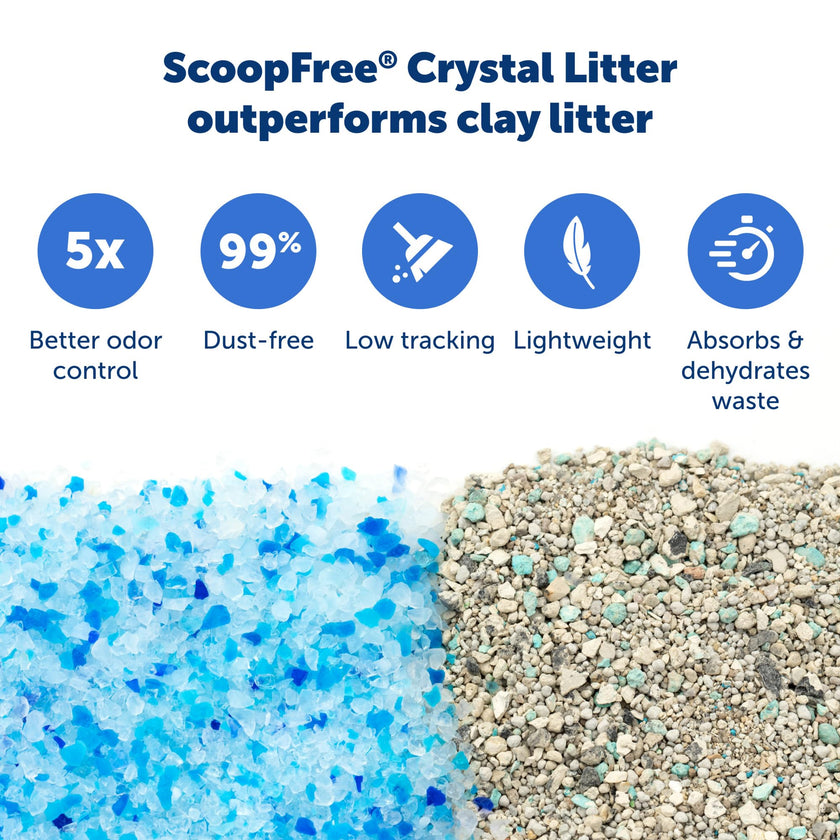 PetSafe ScoopFree Self-Cleaning Cat Litter Box Tray Refill with Premium Blue Non Clumping Crystal Litter, Single Tray Pack 🍁 All In One Marketplace Canada