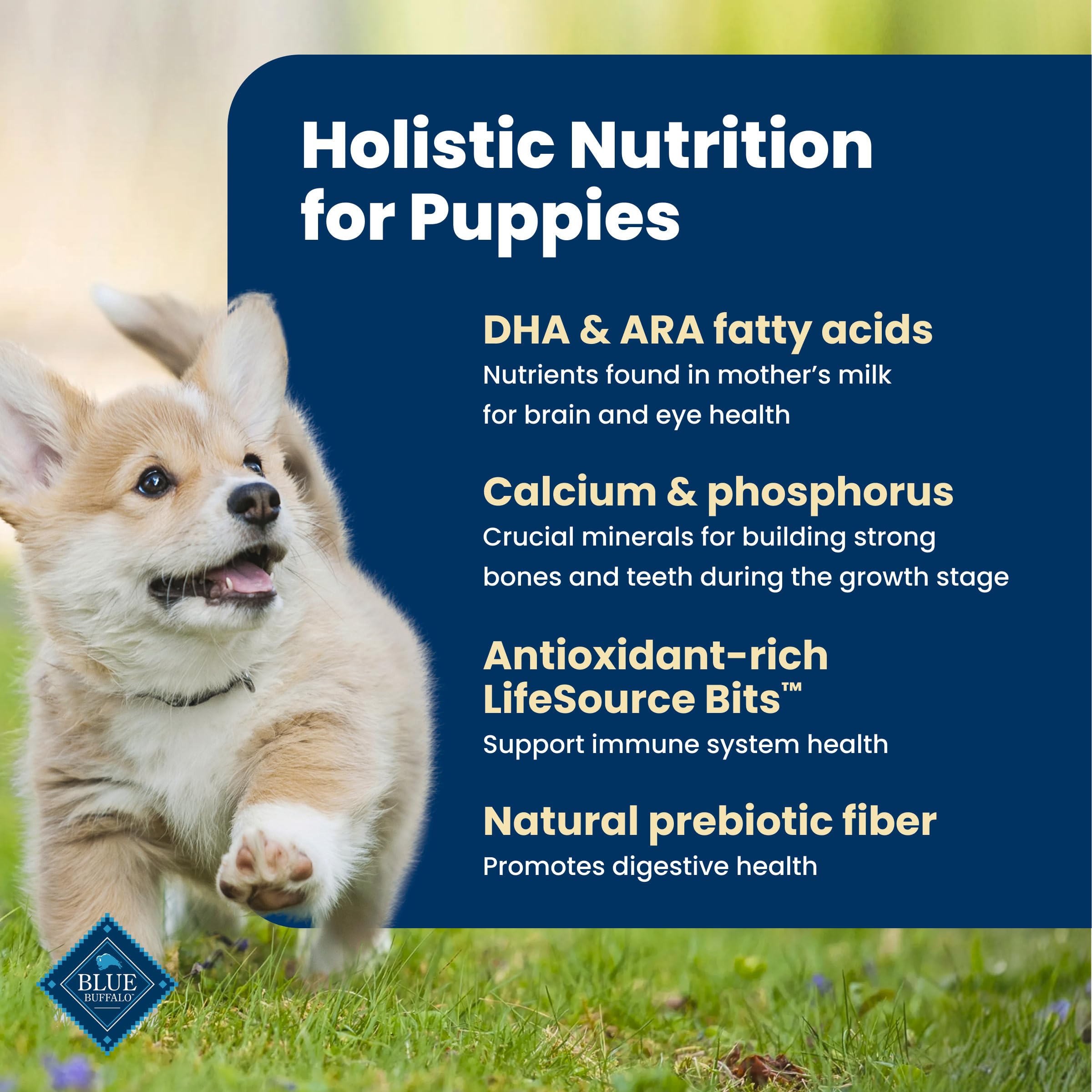 Blue Buffalo Life Protection Formula Puppy Dry Dog Food, Chicken & Brown Rice,11.7 Kg/26 lbs 🍁 All In One Marketplace Canada