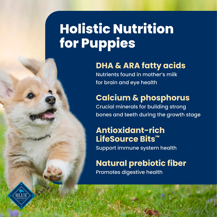 Blue Buffalo Life Protection Formula Puppy Dry Dog Food, Chicken & Brown Rice,11.7 Kg/26 lbs 🍁 All In One Marketplace Canada