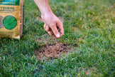 Scotts Ez Seed Patch & Repair 1-0-0, 4.54kg | Multipurpose Formula for Patch and Repair. Grows Anywhere 🍁 All In One Marketplace Canada