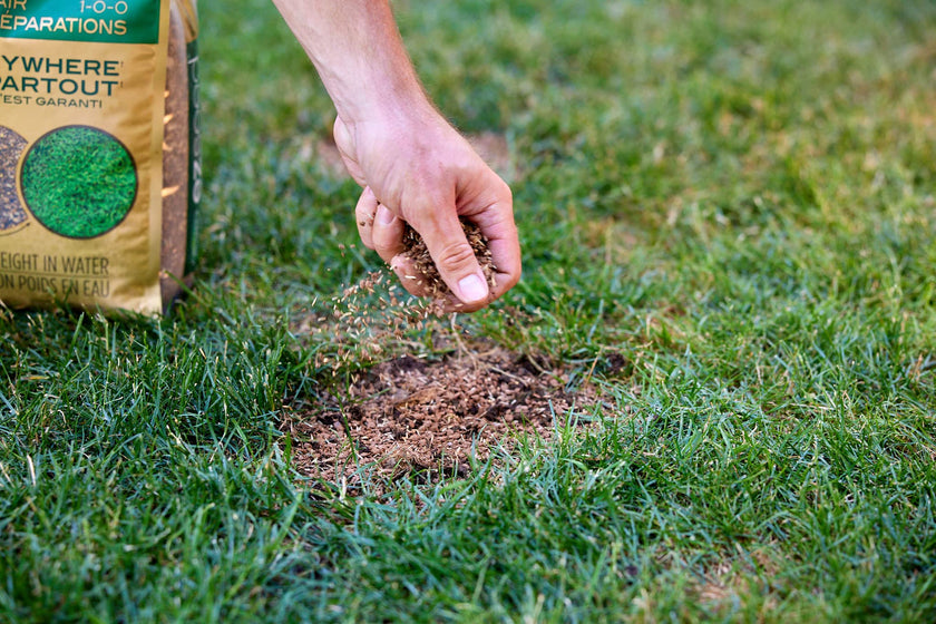 Scotts Ez Seed Patch & Repair 1-0-0, 4.54kg | Multipurpose Formula for Patch and Repair. Grows Anywhere 🍁 All In One Marketplace Canada