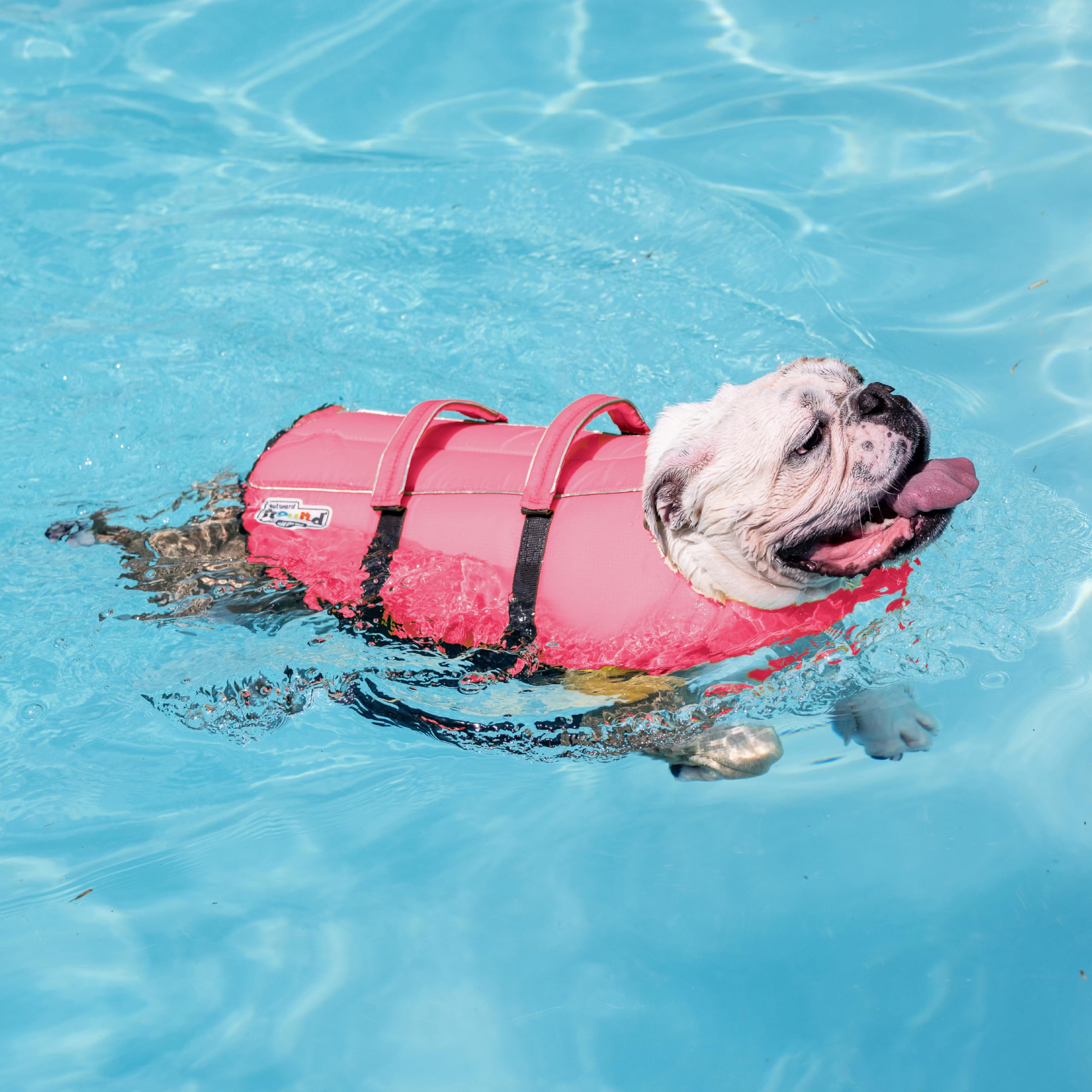 Outward Hound Granby Splash Dog Life Jacket with Handle, Reflective Floating Vest for Swimming & Boating, Maximum Buoyancy, All Skill Levels, Medium Dogs (21–27