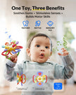 Infinno Baby Teething Toy for 3-12 Months with Pull Ring Spinner 🍁 All In One Marketplace Canada