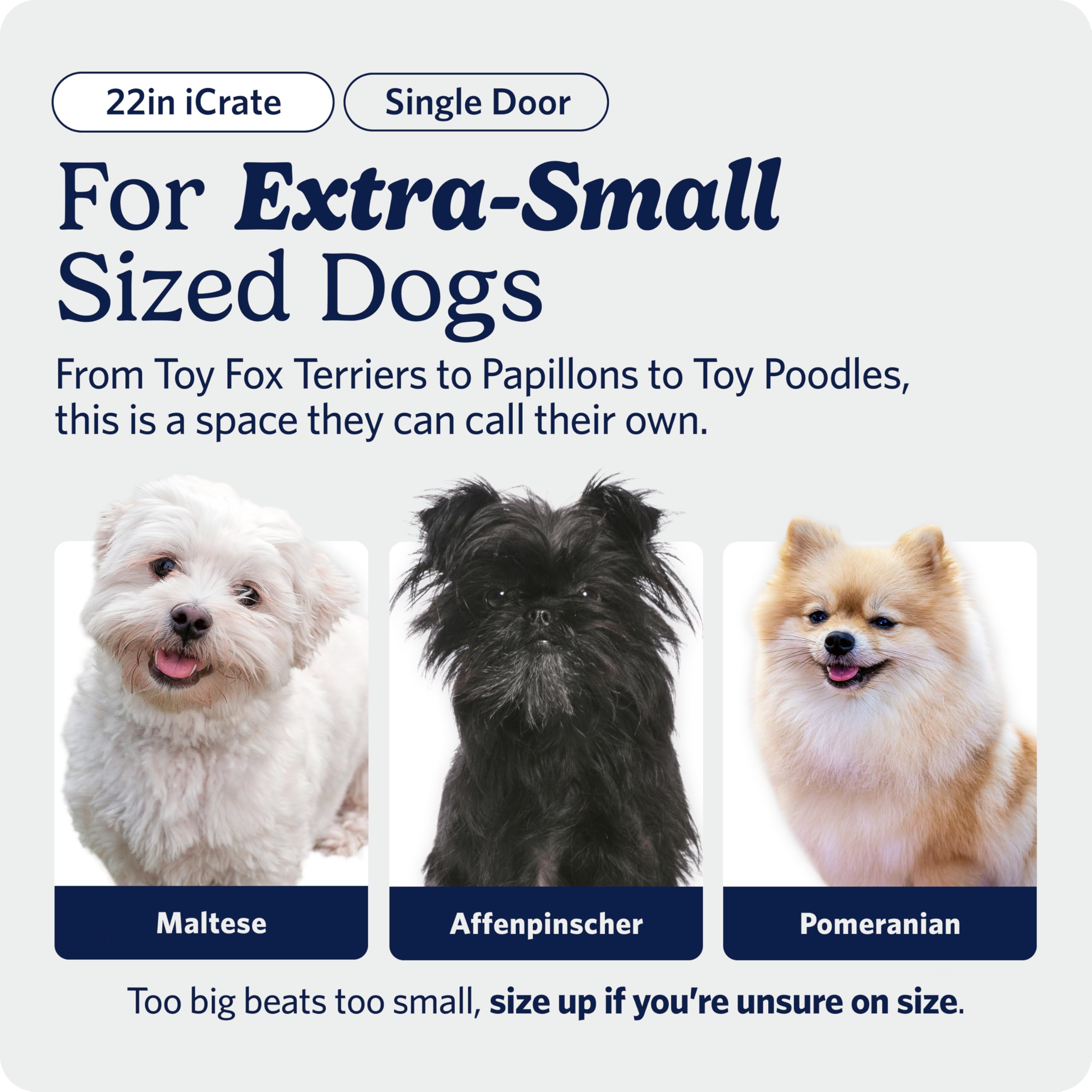 MidWest Homes for Pets 22-Inch iCrate for Extra-Small Breeds, Up to 15 lbs, Single Door Folding Dog Crate with Divider Panel, Leak-Proof Tray & Secure Latch, Portable, Durable & Easy to Assemble 🍁 All In One Marketplace Canada