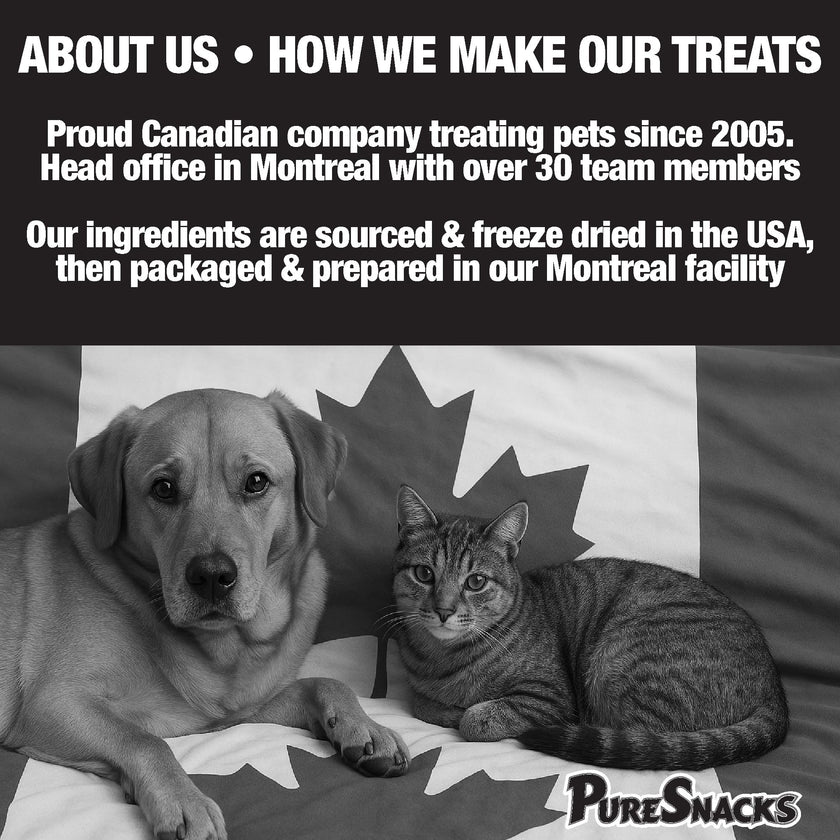 PureSnacks Chicken Single Ingredient Freeze Dried Dog Treats, 261 g 🍁 All In One Marketplace Canada