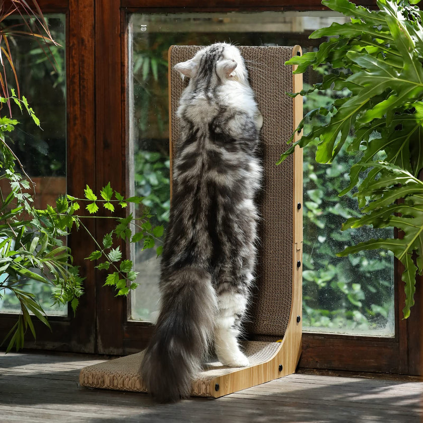FUKUMARU Cat Scratcher, 68 CM L Shape Cat Scratch Pad Wall Mounted, Cat Scratching Cardboard with Ball Toy for Indoor Cats, Large Size 🍁 All In One Marketplace Canada