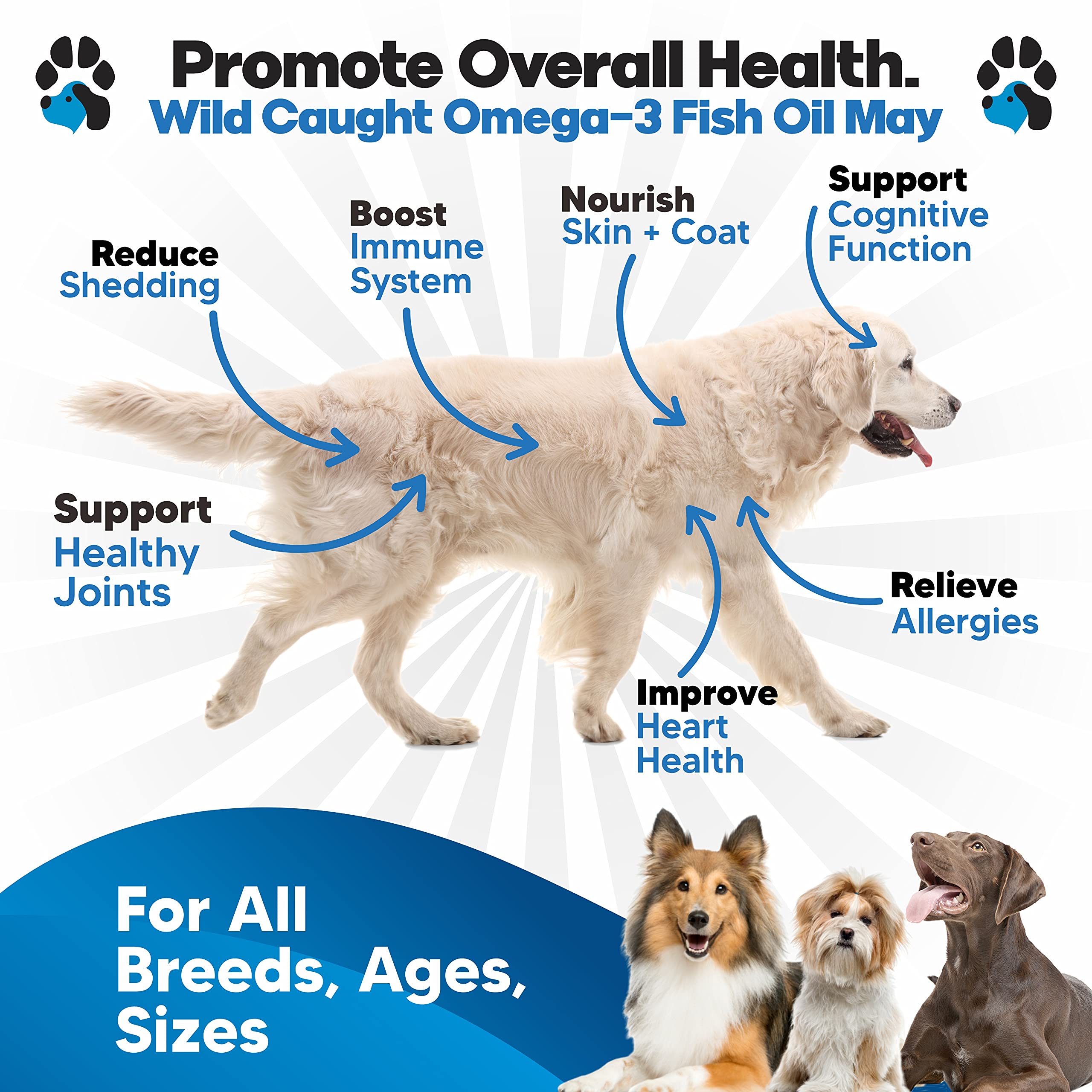 Omega 3 Fish Oil for Dogs – Liquid Fish Oil Supplement – Supports Skin & Coat, Joint Function & Overall Wellness – Easy to Serve – for All Breeds & Ages 🍁 All In One Marketplace Canada