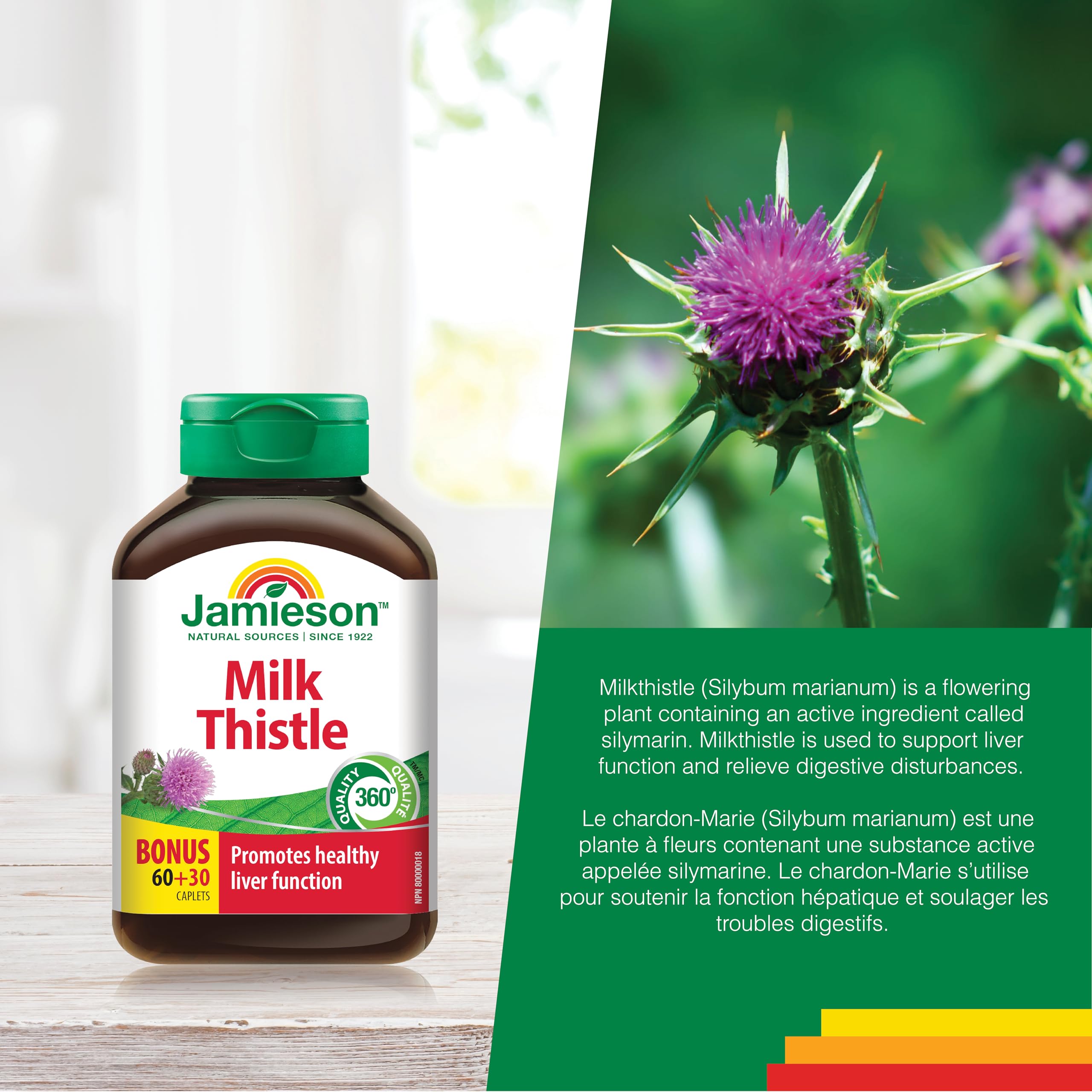 Jamieson Milk Thistle 150 mg, Supports Liver Function, Helps Relieve Digestive Disturbances. Non-GMO, Gluten-Free, 90 Vegetarian Caplets, Proudly Canadian 🍁 All In One Marketplace Canada
