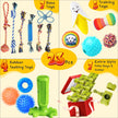 KIPRITII Dog Toys for Puppy Teething - 23 Pack Puppy Teething Toys for Boredom, Pet Dog Toothbrush Dog Toys with Rope Toys, Dog Treat Ball and More Squeaky Toy for Puppies and Small Dogs 🍁 All In One Marketplace Canada