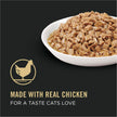 Purina Pro Plan Urinary Tract Health Wet Cat Food, Chicken Entrée - 156 g Can (24 Pack) 🍁 All In One Marketplace Canada